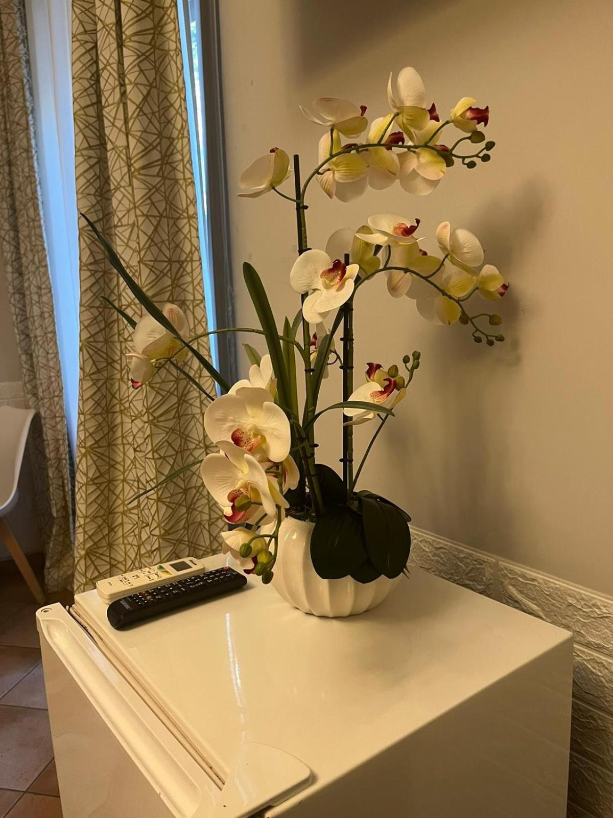 Guest house Domus Prati Rome